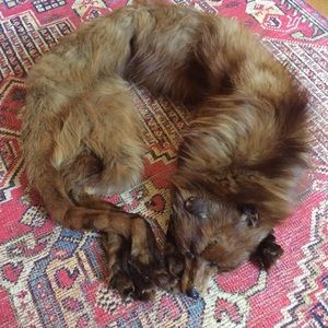 RARE Vintage fur stole